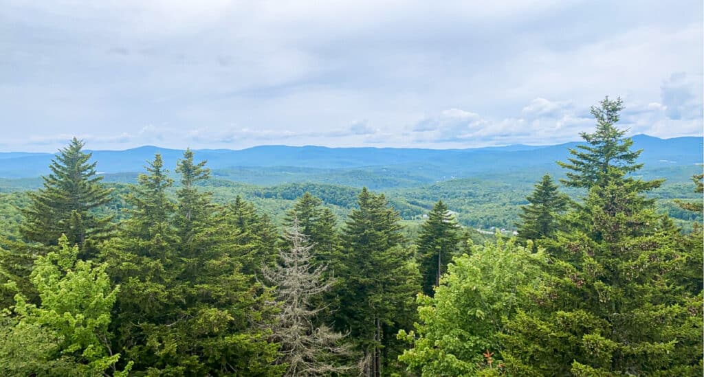 view from atop the fire tower, Wilmington, VT